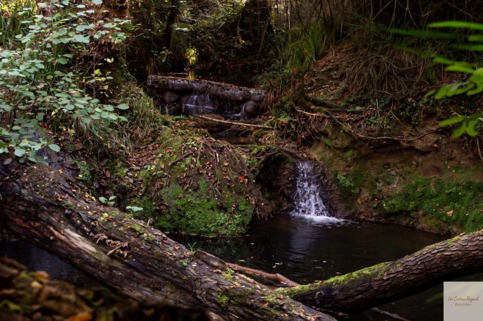 petite cascade