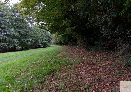 promenade autour du lac de Blasimon