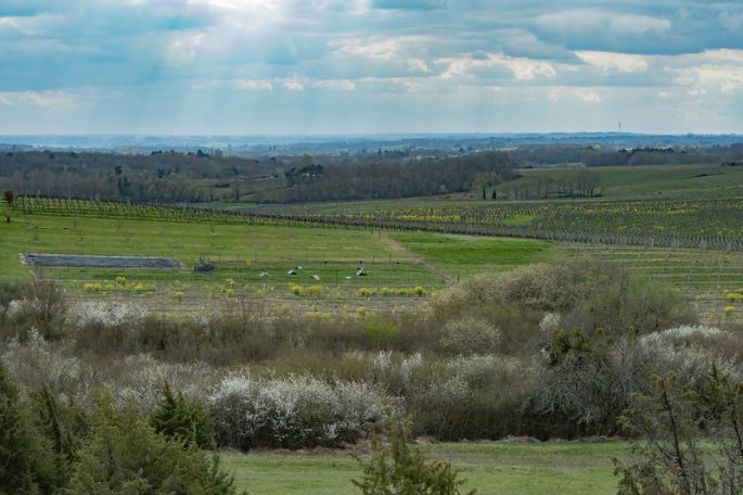 Vue depuis la Butte de Launey