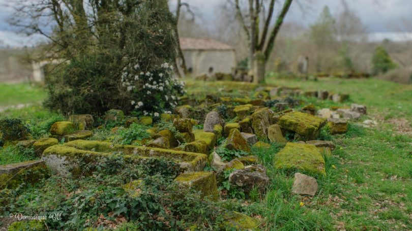 Ruines près de la commanderie templière de Sallebruneau