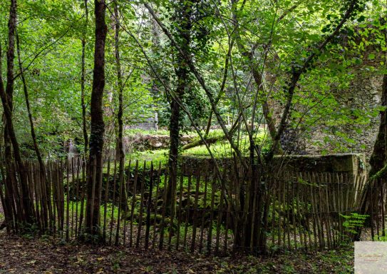 quelques pierres moussues