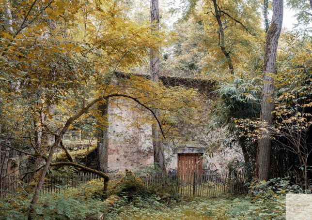 Dans les sous-bois de la base de loisirs de Blasimon